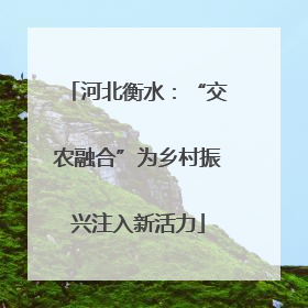 河北衡水：“交农融合”为乡村振兴注入新活力
